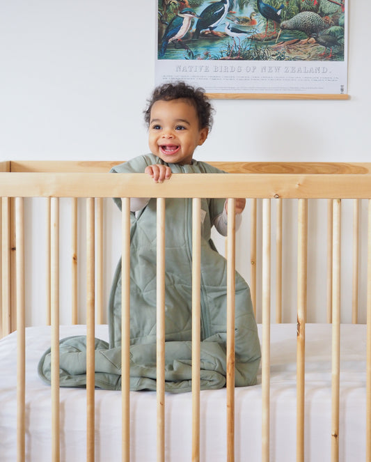 Alpine Baby Sleeping Bag - Sage Colour